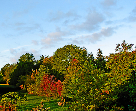 October 01, 2010