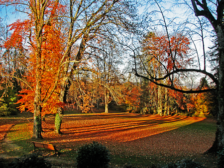 November 05, 2010
